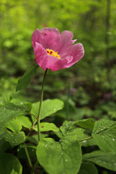 Similar image 709890