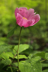 Similar image 709891