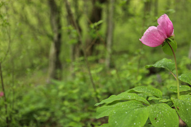 Similar image 709894