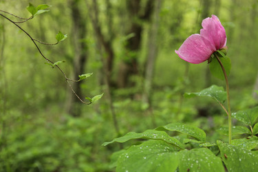 Similar image 709895