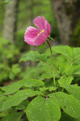 Similar image 709896