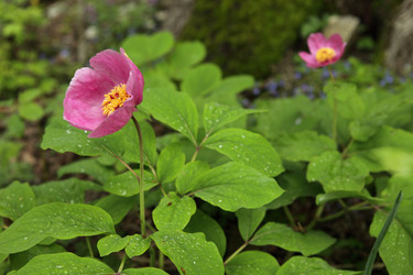 Similar image 709897