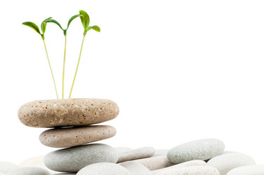 Similar image 709916