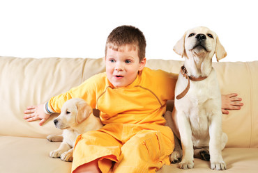 Similar image 709933