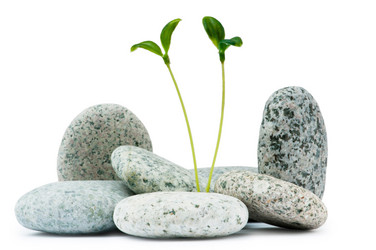 Similar image 709940