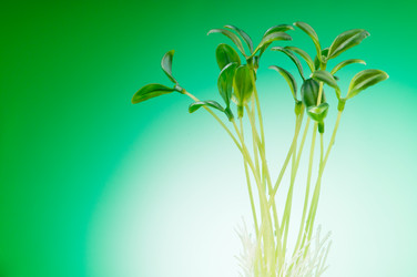 Similar image 709953