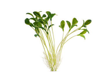 Similar image 709955