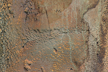 Similar image 709995