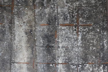 Similar image 710000