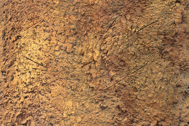 Similar image 710002