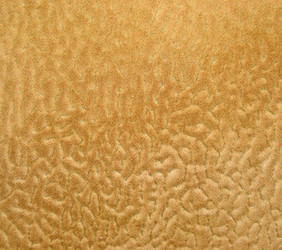 Similar image 710026