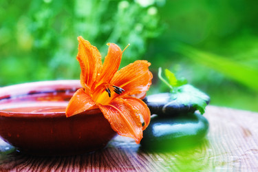 Similar image 710052