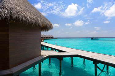 Similar image 710063