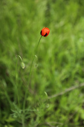 Similar image 710084