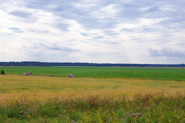 Similar image 710087