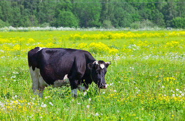 Similar image 710089