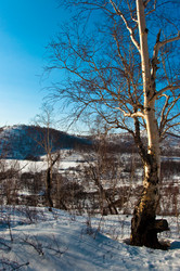 Similar image 710142