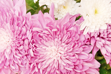 Similar image 710163