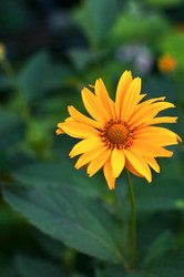 Similar image 710187