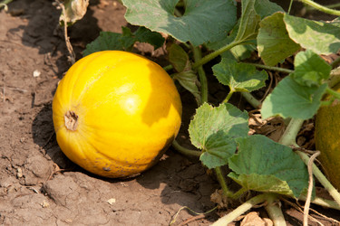 Similar image 710193