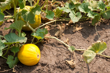 Similar image 710194