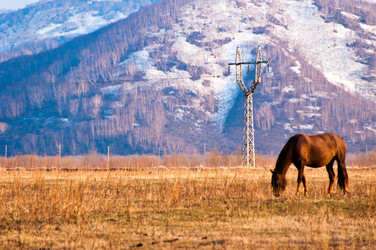 Similar image 710196