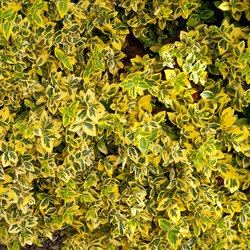 Similar image 710197