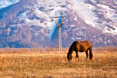 Similar image 710198