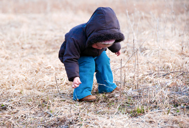 Similar image 710205