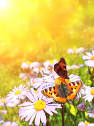 Similar image 710283