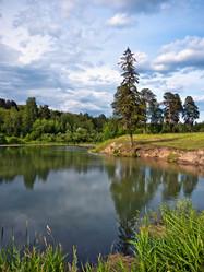 Similar image 710310