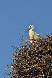 Similar image 710318