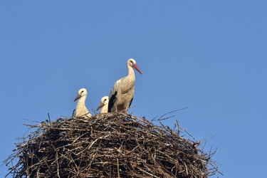 Similar image 710320