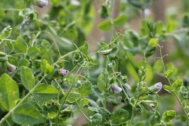 Similar image 710322