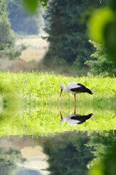 Similar image 710325