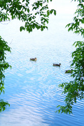 Similar image 710328