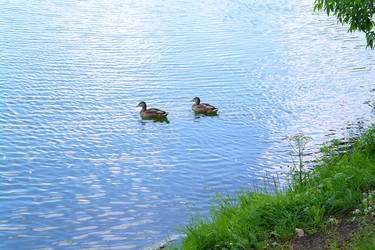 Similar image 710332