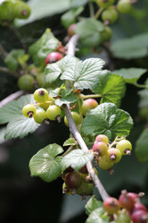 Similar image 710335