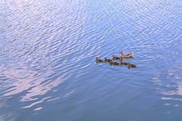 Similar image 710340