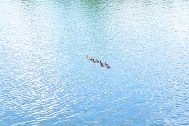 Similar image 710341