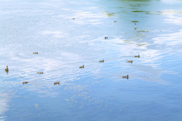 Similar image 710344