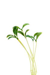 Similar image 710346