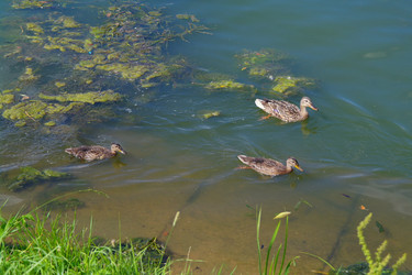 Similar image 710347