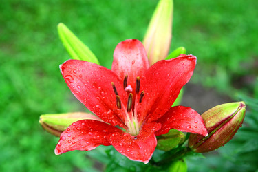 Similar image 710356