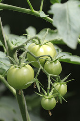 Similar image 710360