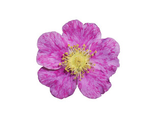 Similar image 710362