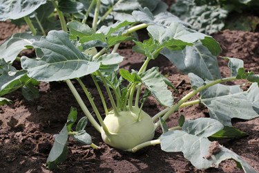 Similar image 710368