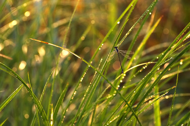 Similar image 710369