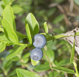 Similar image 710373