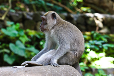 Similar image 710381